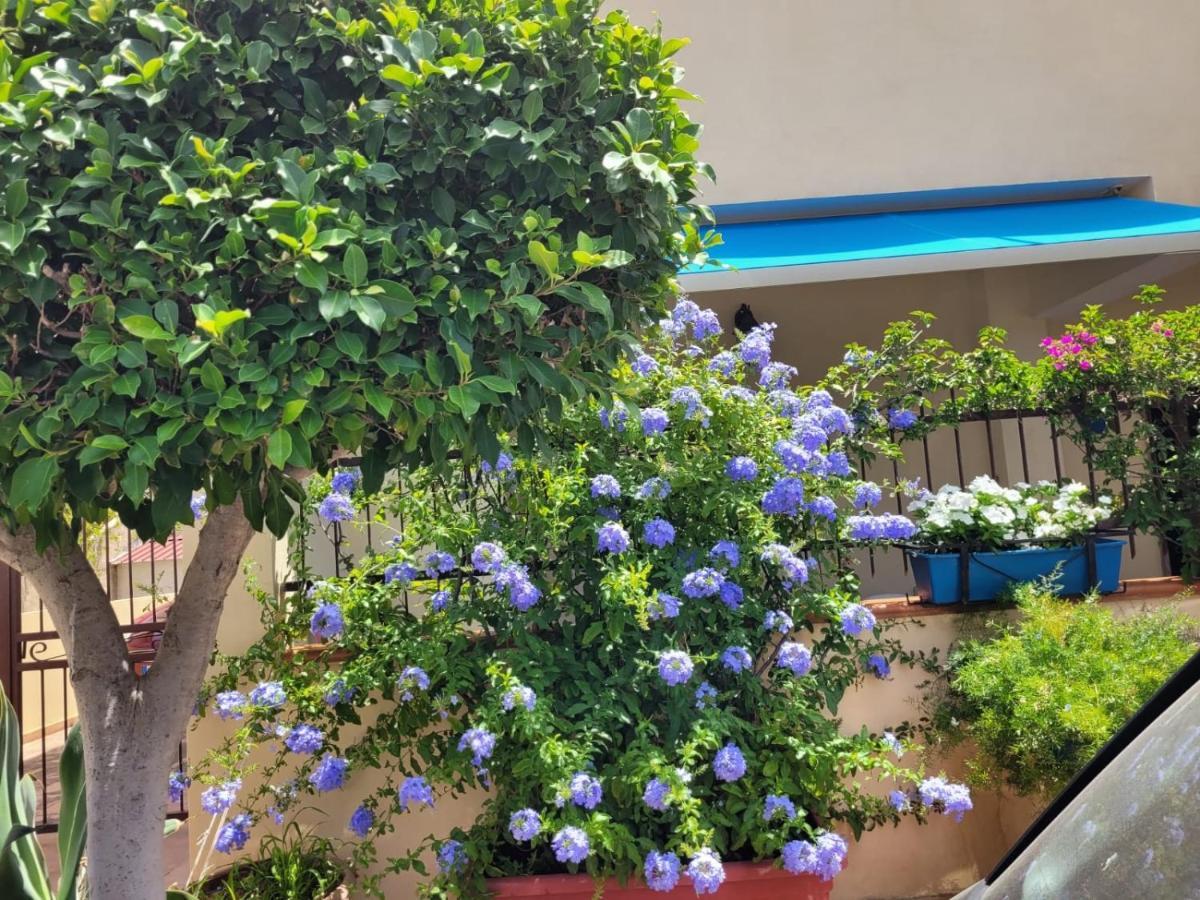 My Little House - Appartamento Con Patio E Parcheggio Privato A 5 Minuti Dalla Spiaggia E Dal Centro Тропея Экстерьер фото