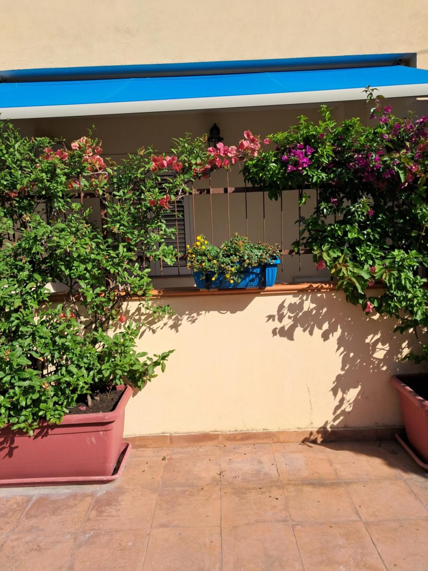 My Little House - Appartamento Con Patio E Parcheggio Privato A 5 Minuti Dalla Spiaggia E Dal Centro Тропея Экстерьер фото